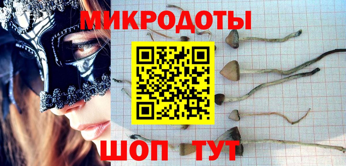 Псилоцибиновые грибы Psilocybine cubensis Чебаркуль