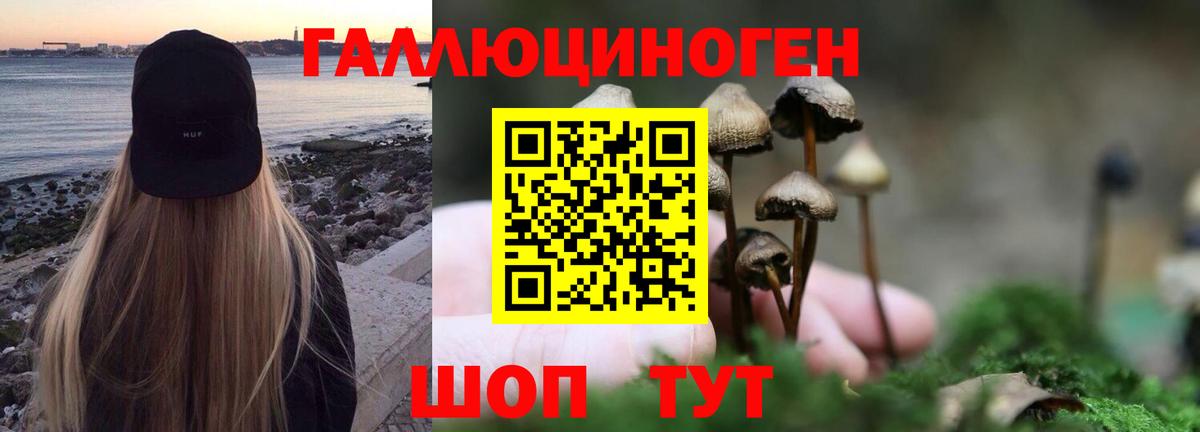 Чебаркуль  Псилоцибиновые грибы мухоморы  Вход с VPN  Псилоцибиновые грибы мухоморы 